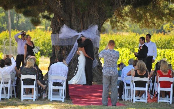 wooing tree wedding
